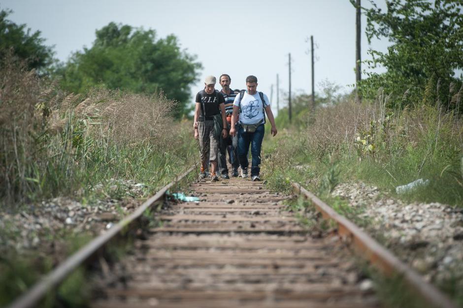 Horgoš | Avtor: Anže Petkovšek