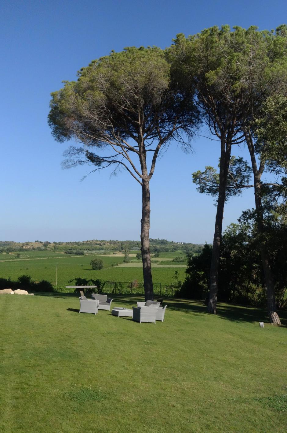 Visoko drevo | Avtor: Profimedia