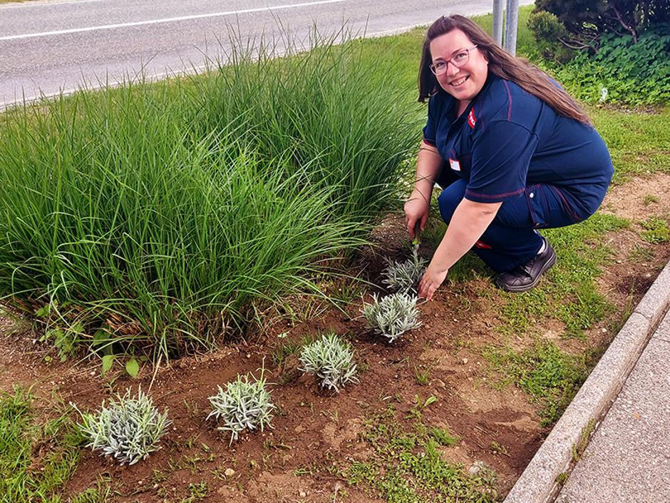 Petrol | Avtor: Petrol