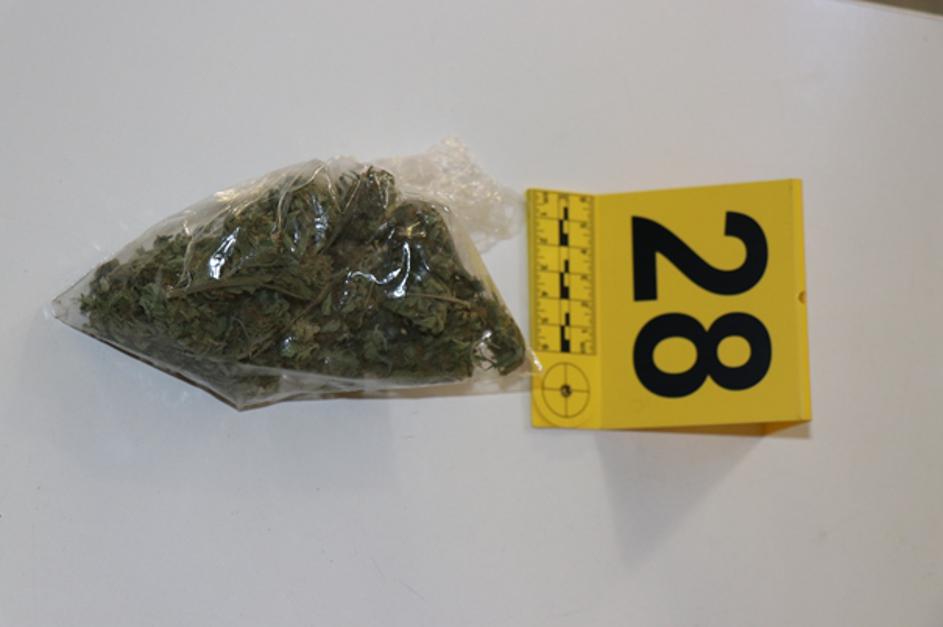 tihotapljenje migrantov