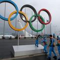 Soči olimpijske igre OI prostovoljec prostovoljci