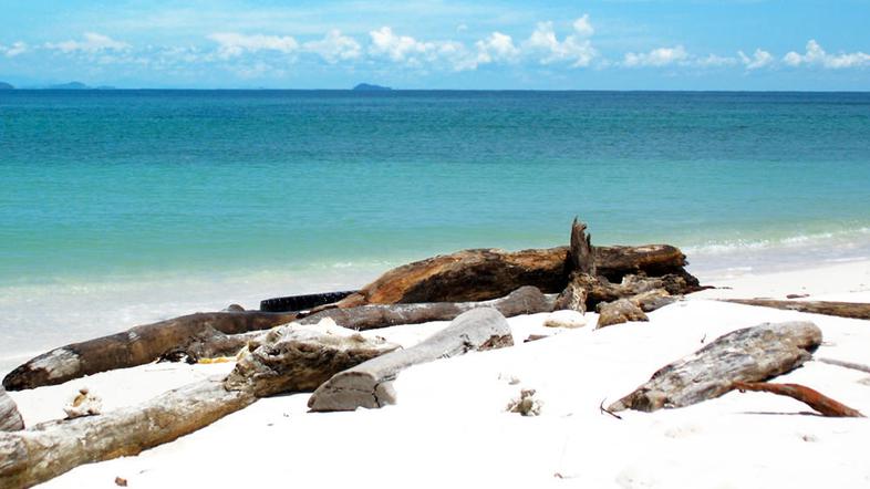 (Foto: Shutterstock)