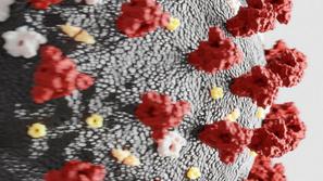 covid-19 koronavirus