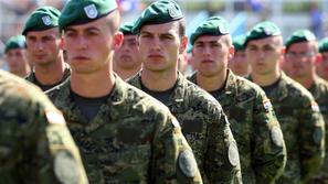 Hrvaška vojska