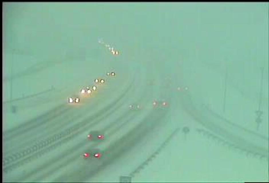 Kronovo | Avtor: PIC