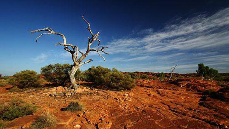 Tako lepa, a tako daleč ...