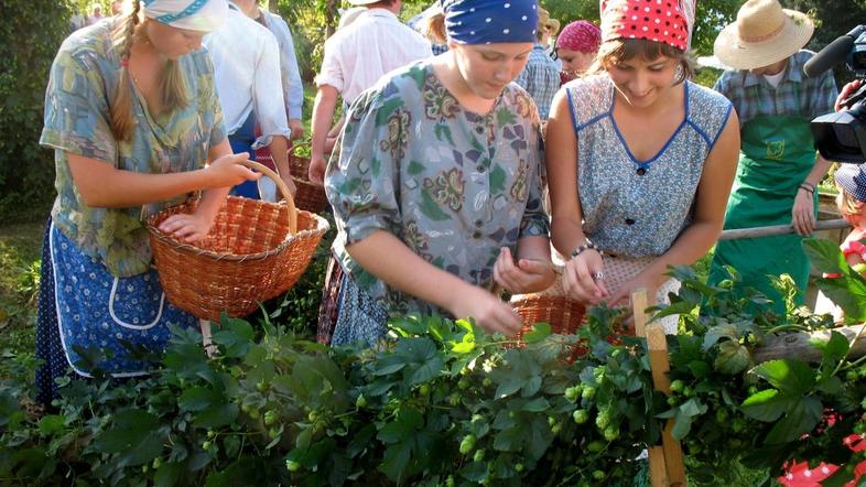 V območni enoti zavoda za zaposlovanje Celje so lani izdali 282, letos pa 195 do