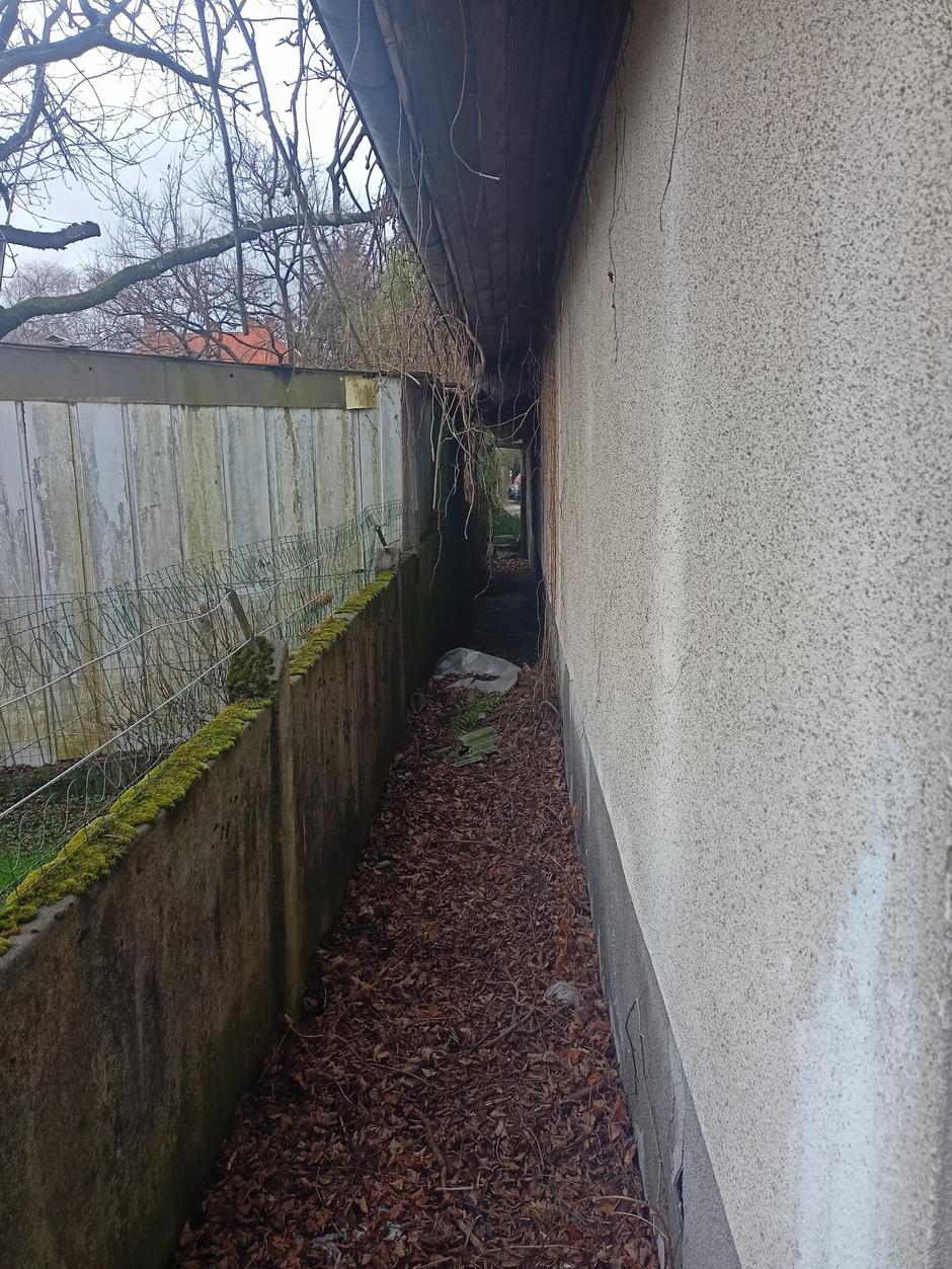 Slobodan Bogdanović | Avtor: D. M.