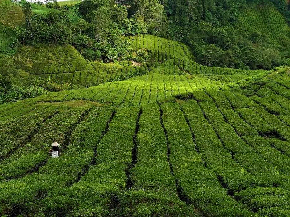 blog Cesta dolga leto dni | Avtor: Brina Sotlar