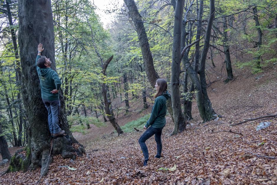 Akcija Varuhi gozdnih specialistov | Avtor: DOPPS