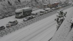 (Foto: Dare Čakeliš)