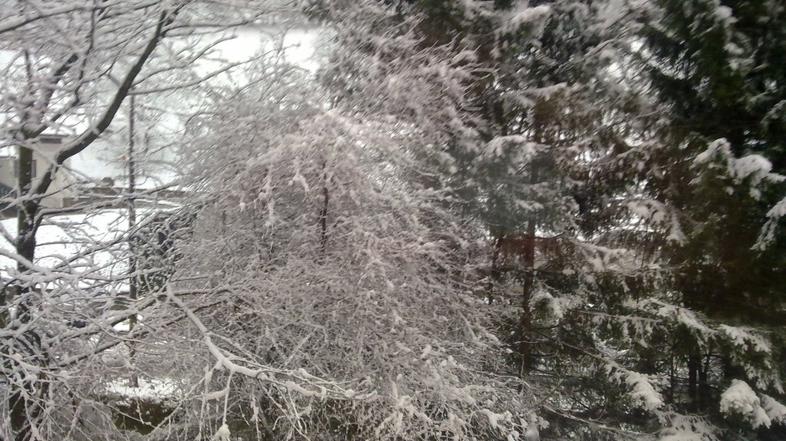 Sneg v Koroški Beli