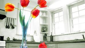 Cvetje doma pričara pomlad. (Foto: Shutterstock)