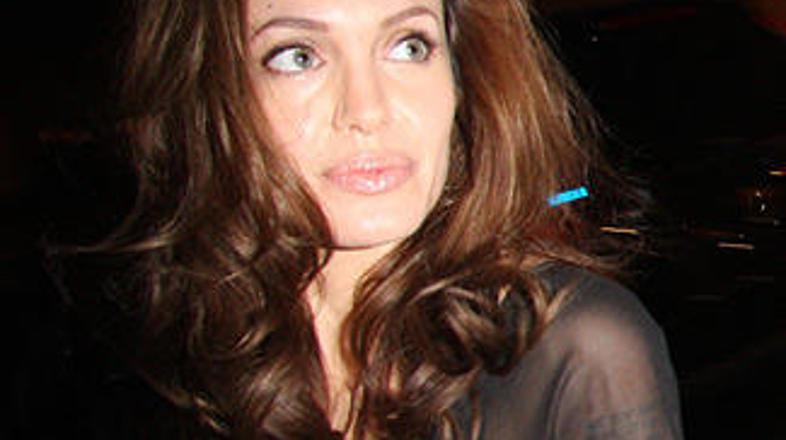 Angelina je zavrnila ponudbo, da zaradi nje prekinejo let v Los Angeles.