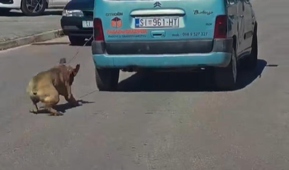 Video: Grozljivi prizori v Šibeniku, moški z avtom vlekel psa
