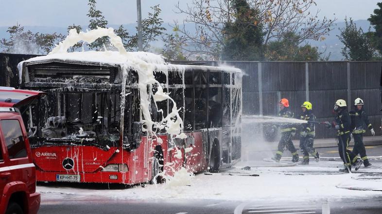 Goreč avtobus v Kopru
