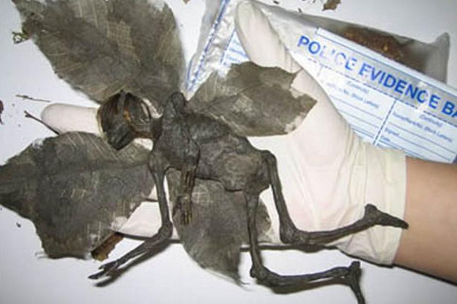 prvi april | Avtor: Žurnal24 main