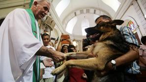 Blagoslov živali v Madridu