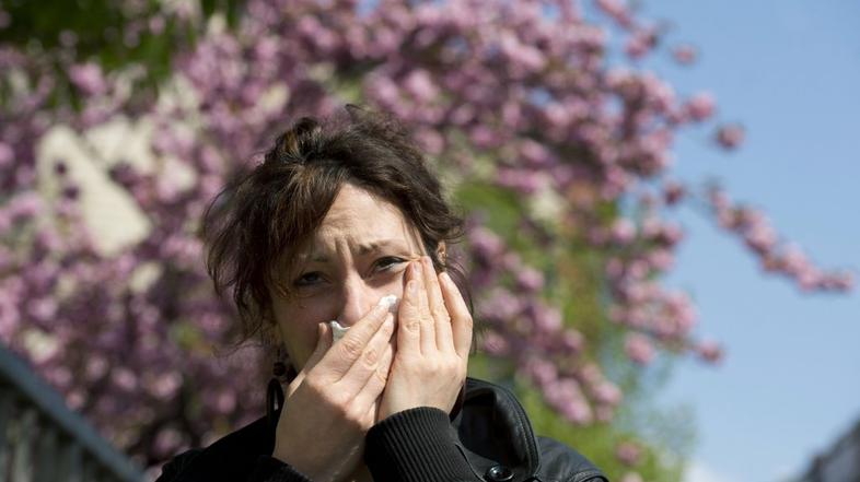 Cvetoče drevo, alergija