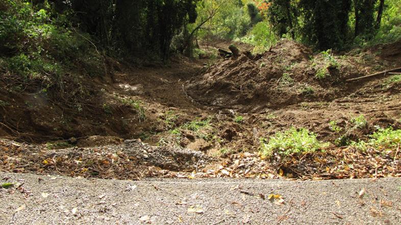 Zemeljski plaz na pobočju Marka nad Šempetrom pri Gorici