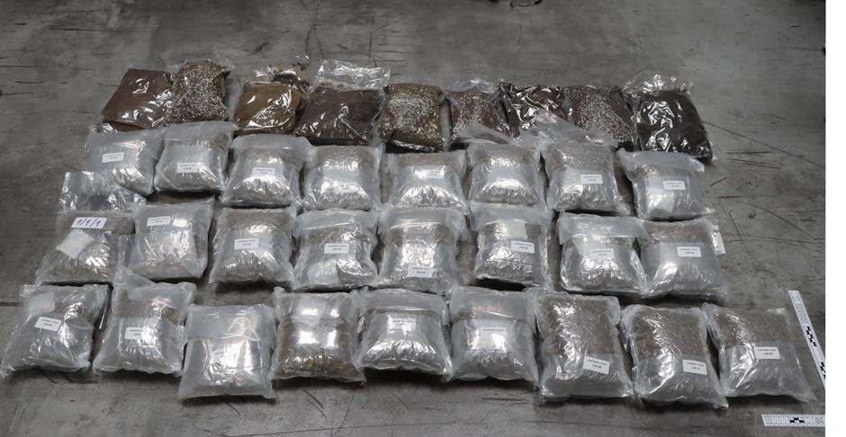 zaseg droge | Avtor: PU Koper