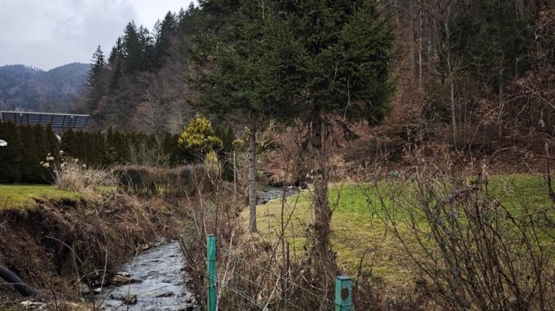 Struga Rožično, vodotok Rožičnica