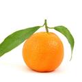 Mandarino lahko, sezoni primerno, zamenjate tudi s pomarančo.