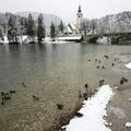 Bohinjsko jezero je med preostalimi slovenskimi najboljše kakovosti.