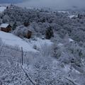 Sneg na Dolenjskem 