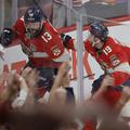 Florida Panthers