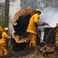 Samo tri tedne po najhujših požarih v zgodovini države se gasilci že soočajo z n