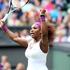 Serena Williams Wimbledon finale