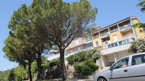 Poškodovane pinje v Portorožu.