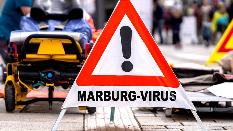 marburg virus