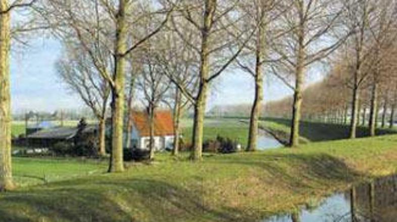 Četrtino ozemlja Nizozemske pred morjem ščitijo nasipi.