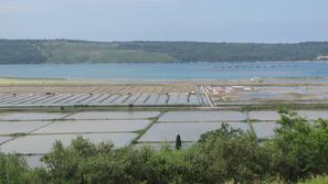 Pogled na Sečoveljske soline  ...