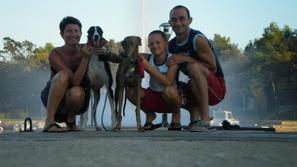 Slovensko društvo za pomoč hrtom