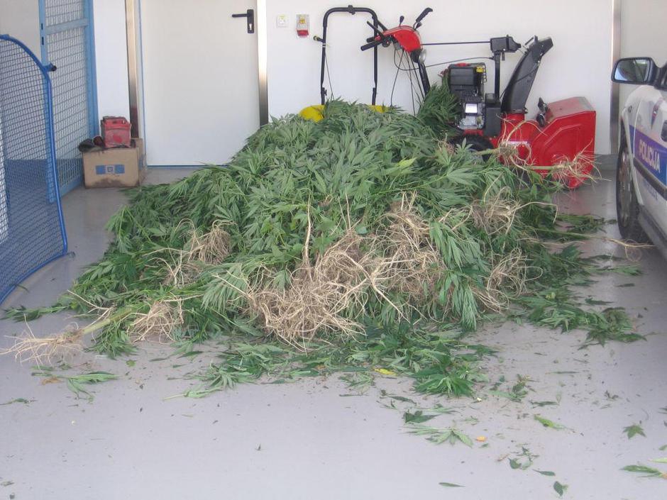  | Avtor: Žurnal24 main