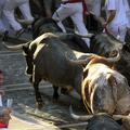 Pamplona tek pred biki
