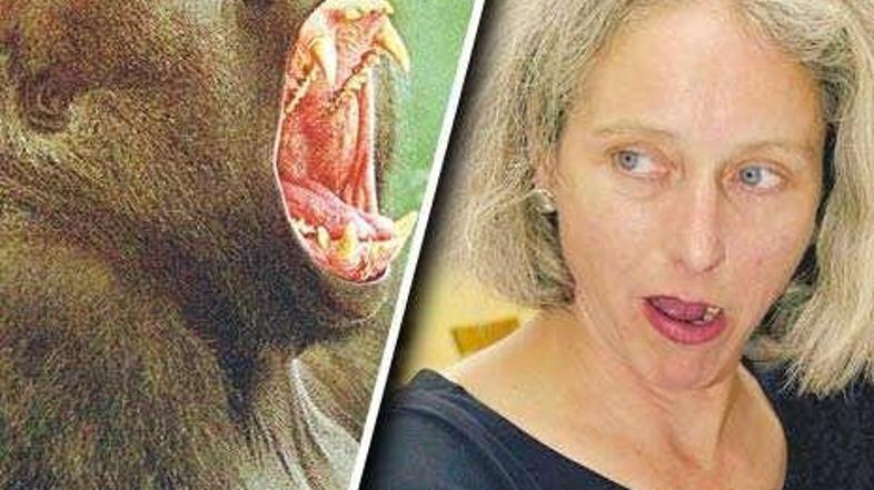 Gorila Porgy in psihologinja Petra G.