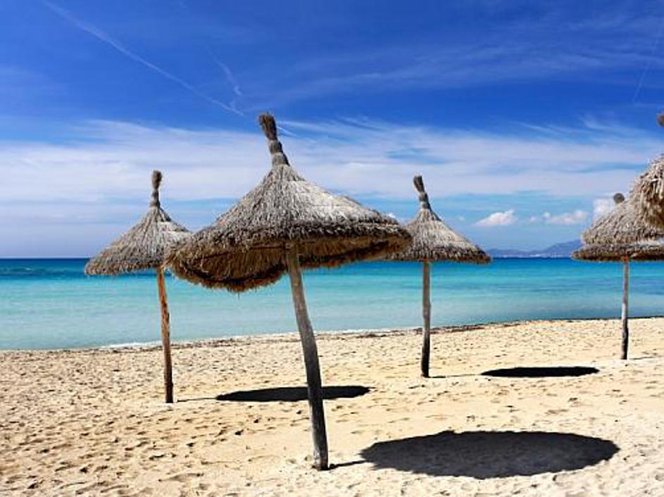 Tako podobni, tako različni? Med desetimi izbranci je tudi med Nemci zelo prilju