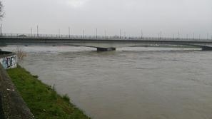 Narasla Drava na Ptuju